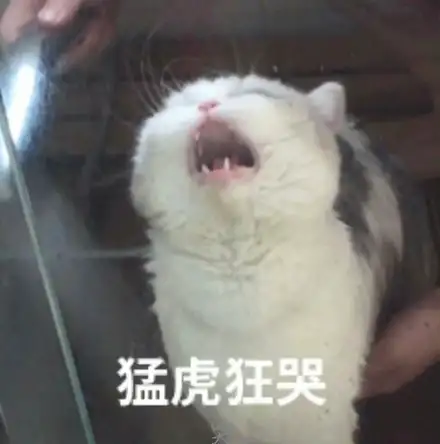 琐记🫠 - 第10张 琐记🫠 - 第10张