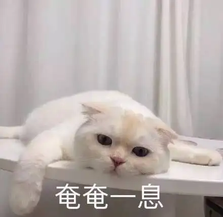 琐记🫠 - 第13张 琐记🫠 - 第13张